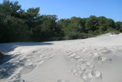 Spiagge nel Salento